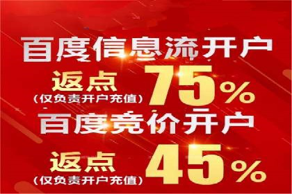 案例剖析：SEM竞价优化助力企业快速抢占市场